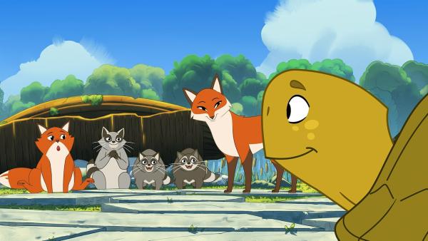 Rechts ist Törtel, der seine Freunde anschaut. Fuchs Iwo links, daneben die drei Waschbären Asta, Sine und Cally und Füchsin Wendy rechts.