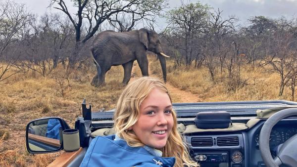 In Afrika entdeckt Nina einen wilden Elefanten.