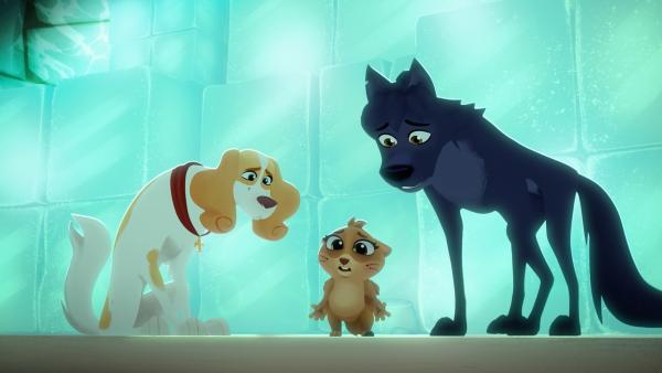 Belfort und Lupin nehmen sich des verirrten Murmeltiers an.