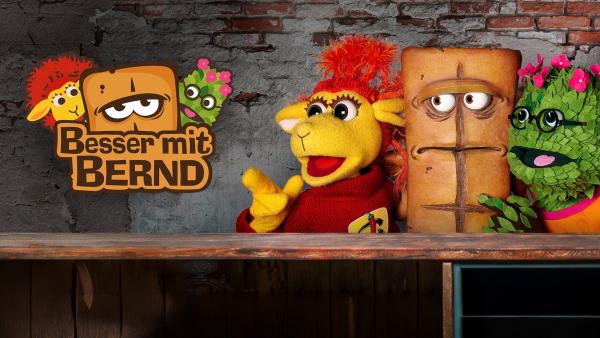 Rechts Chili, Bernd und Briegel eng zusammen hinter einer Tischplatte. Sie schauen nach links zum Logo, das eine Grafik von ihnen und den Schriftzug Besser mit Bernd zeigt. Chili und Briegel zeigen mit dem Finger darauf.